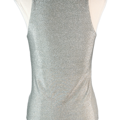 Stylites Glittery Silver Sleeveless Top