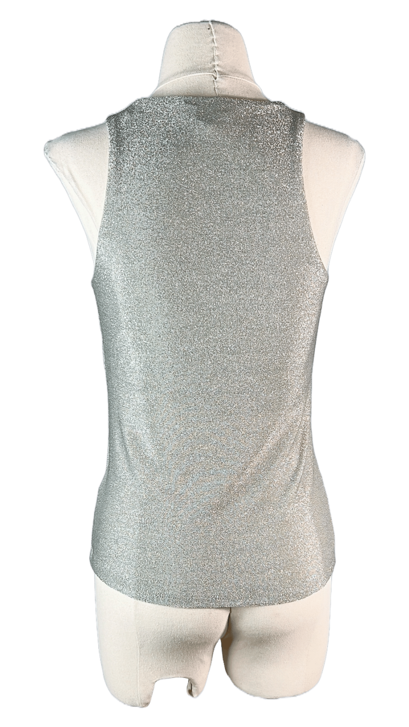 Stylites Glittery Silver Sleeveless Top