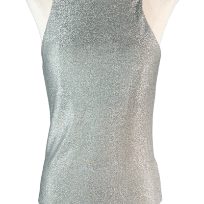 Stylites Glittery Silver Sleeveless Top